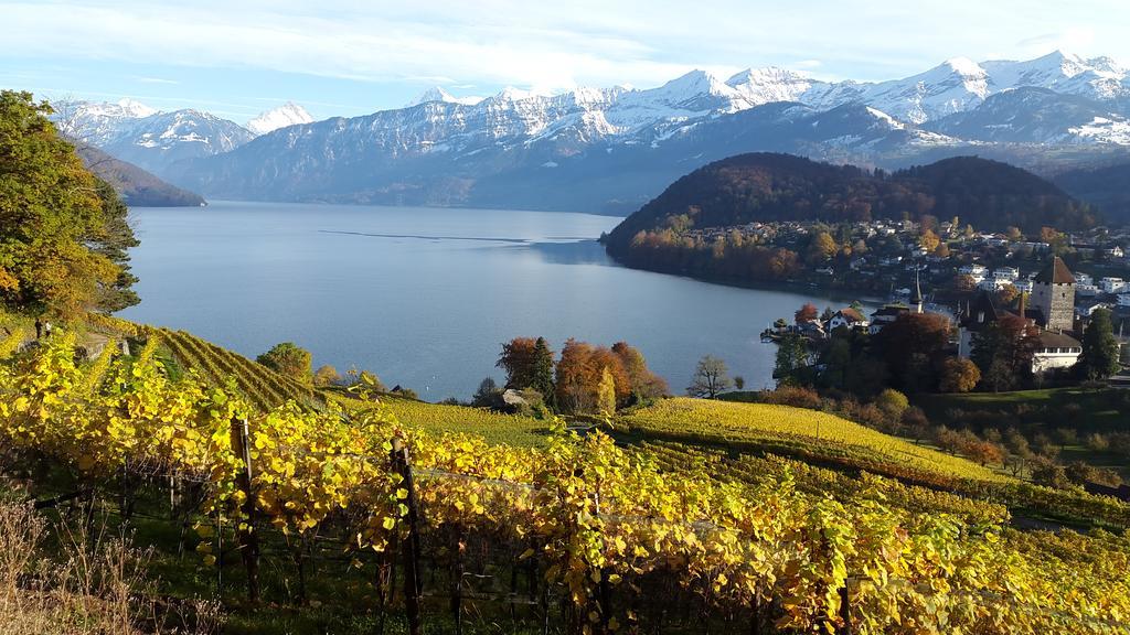 Oase Zum Sein Lägenhet Spiez Exteriör bild